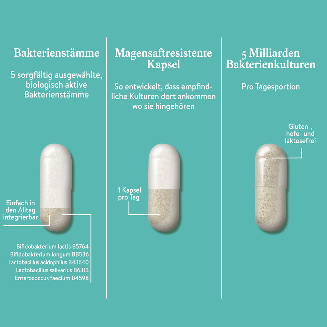 Mama Kulturen Komplex