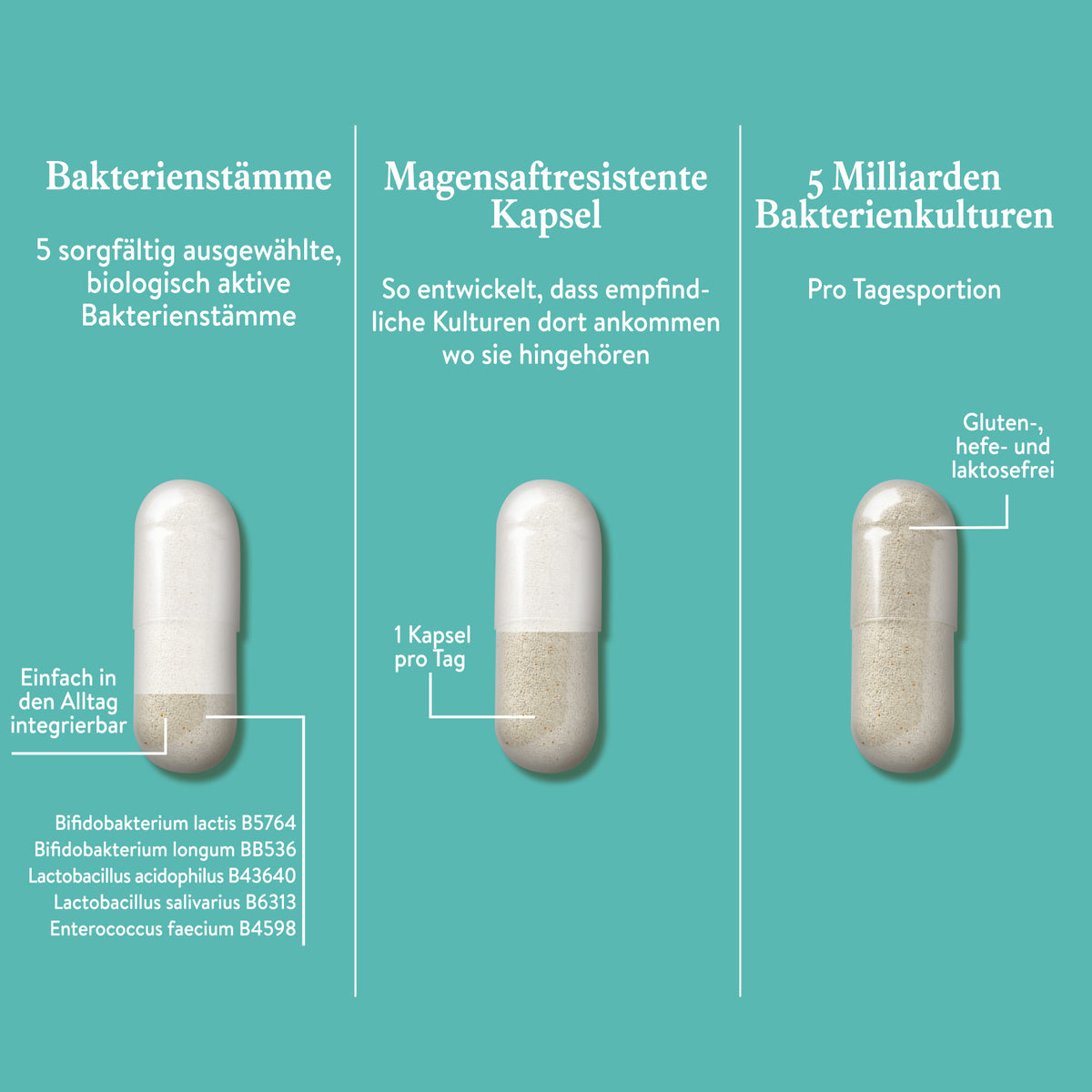 Mama Kulturen Komplex