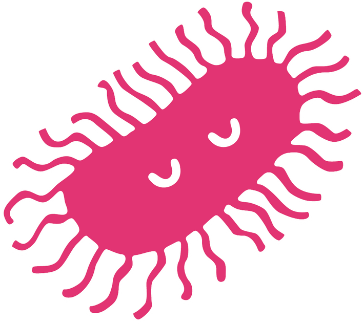 Gesunde Bakterien rosa